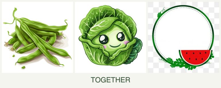 Can you plant beans, cabbage and watermelons together?