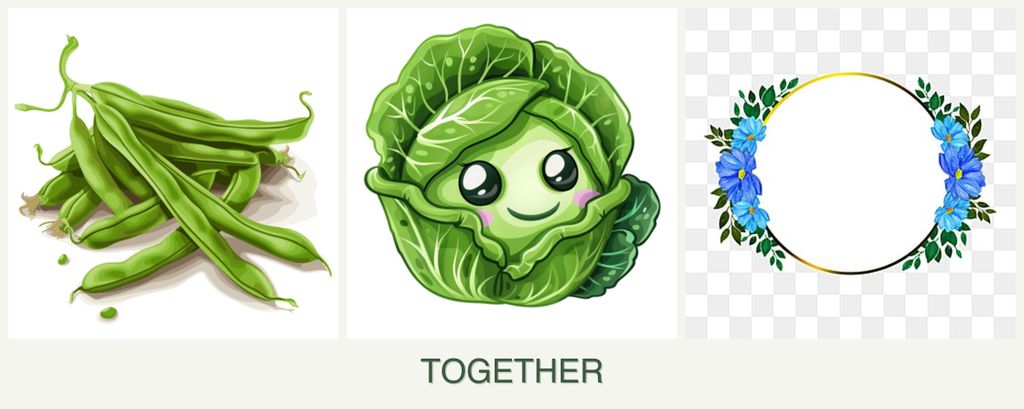 Can you plant beans, cabbage and zinnias together?