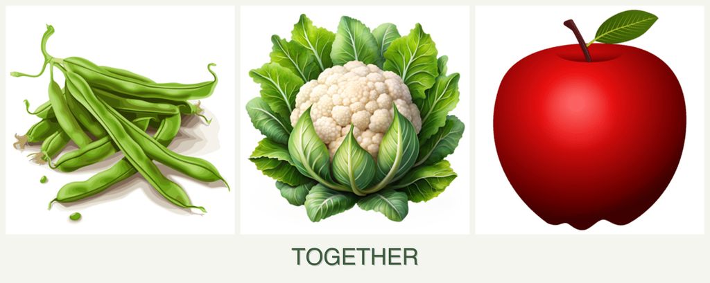 Can you plant beans, cauliflower and apples together?