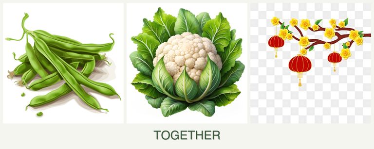Can you plant beans, cauliflower and apricots together?