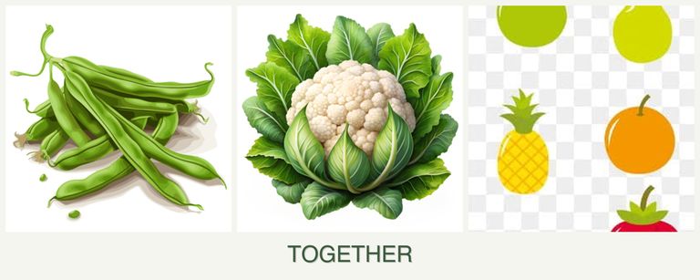 Can you plant beans, cauliflower and pears together?