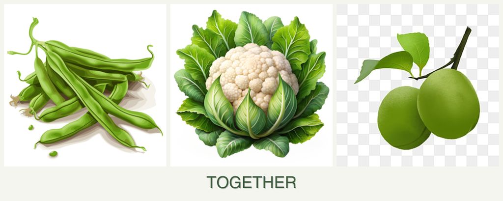 Can you plant beans, cauliflower and plums together?