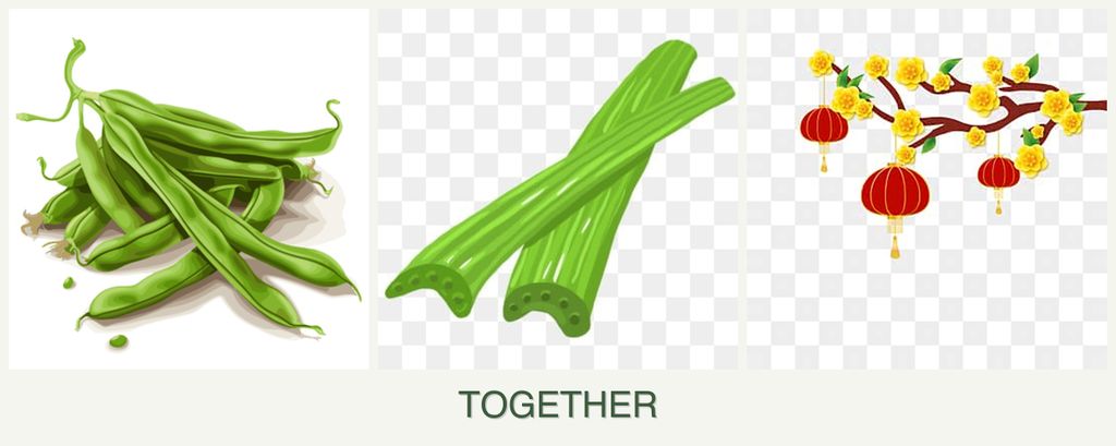 Can you plant beans, celery and apricots together?