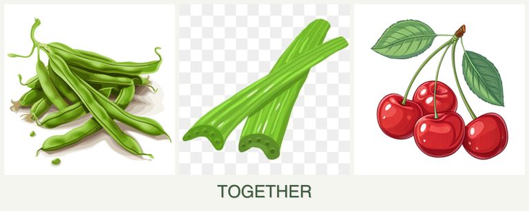 Can you plant beans, celery and cherries together?