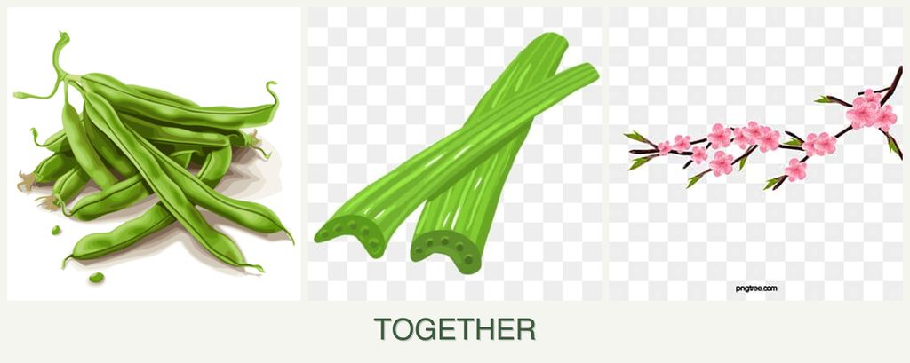 Can you plant beans, celery and peaches together?