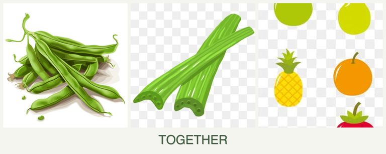 Can you plant beans, celery and pears together?