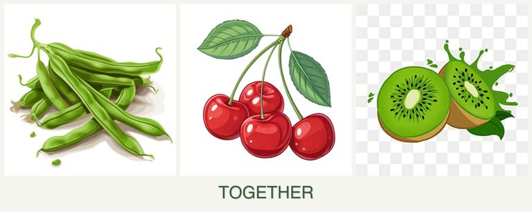 Can you plant beans, cherries and kiwi together?
