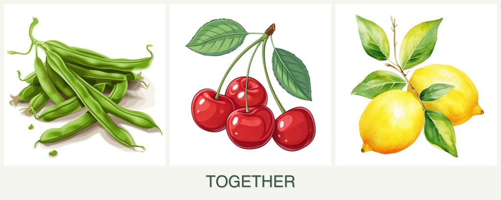 Can you plant beans, cherries and lemons together?