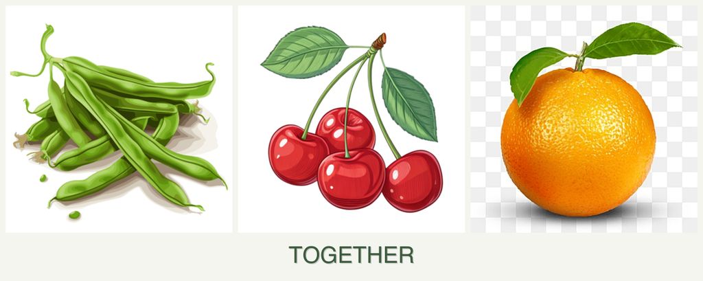 Can you plant beans, cherries and oranges together?