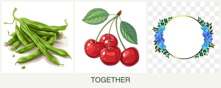Can you plant beans, cherries and zinnias together?