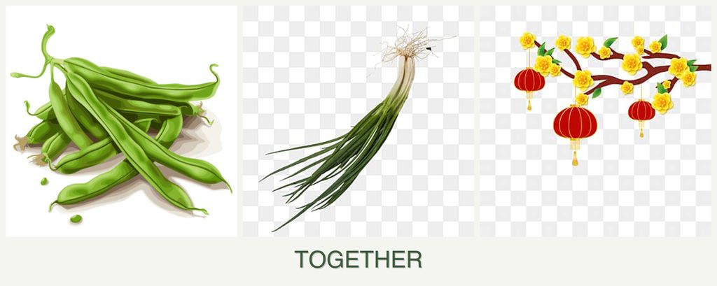 Can you plant beans, chives and apricots together?