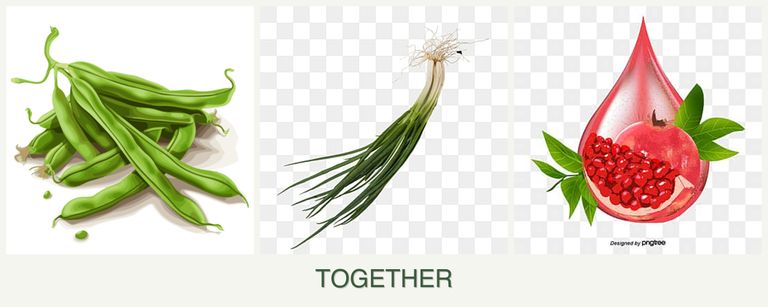 Can you plant beans, chives and pomegranates together?