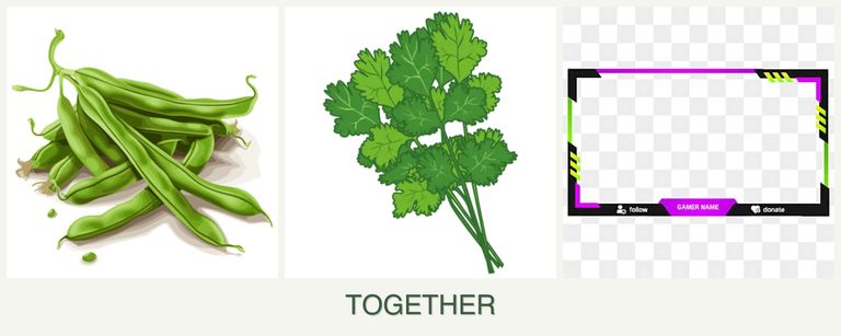 Can you plant beans, cilantro and limes together?