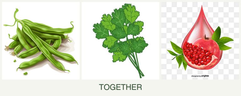 Can you plant beans, cilantro and pomegranates together?