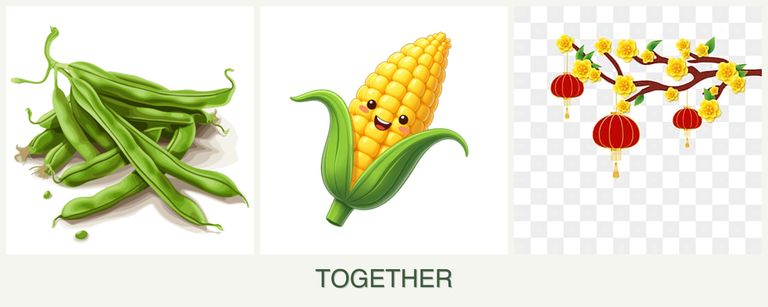 Can you plant beans, corn and apricots together?