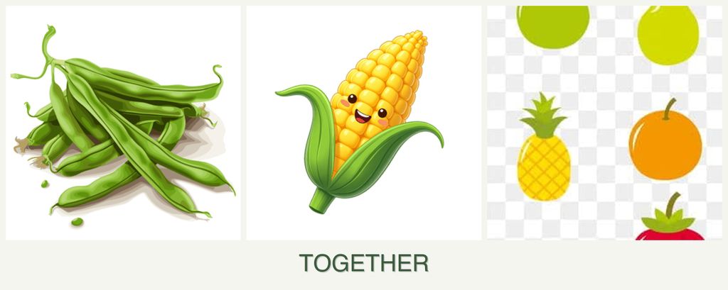 Can you plant beans, corn and pears together?