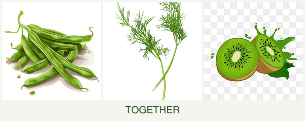 Can you plant beans, dill and kiwi together?