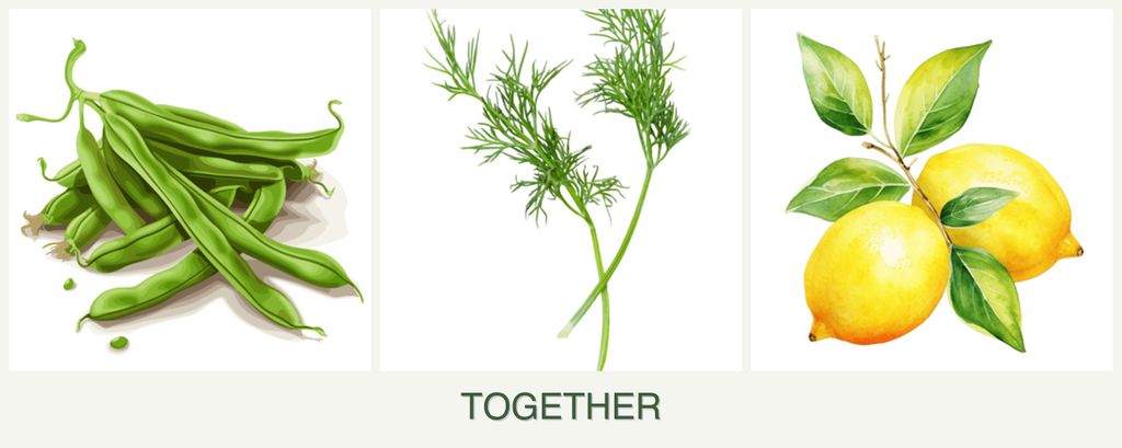 Can you plant beans, dill and lemons together?