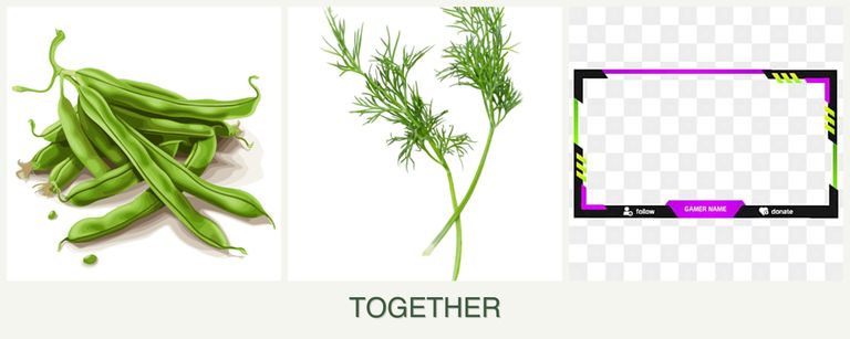 Can you plant beans, dill and limes together?