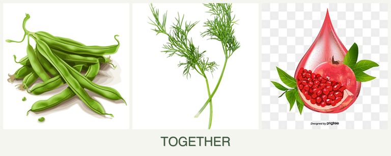 Can you plant beans, dill and pomegranates together?