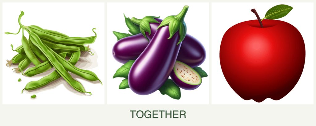 Can you plant beans, eggplant and apples together?