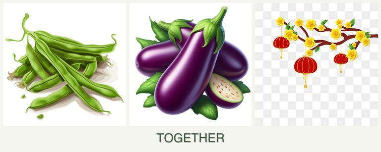 Can you plant beans, eggplant and apricots together?