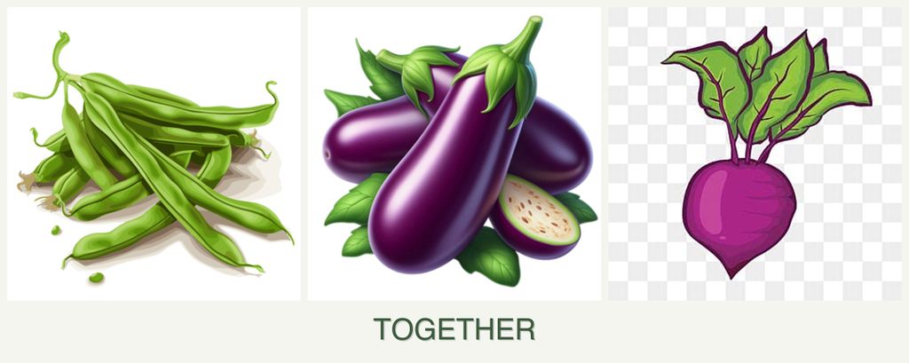 Can you plant beans, eggplant and beets together?