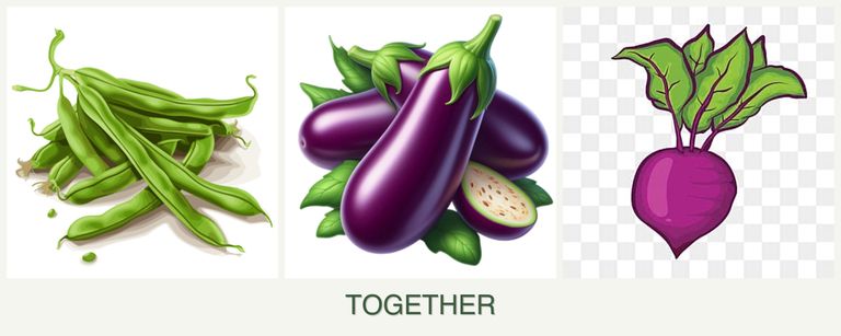 Can you plant beans, eggplant and beets together?