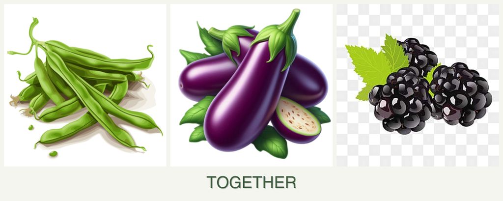 Can you plant beans, eggplant and blackberries together?