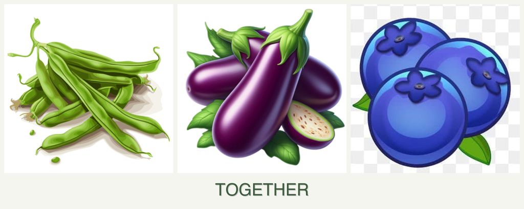 Can you plant beans, eggplant and blueberries together?