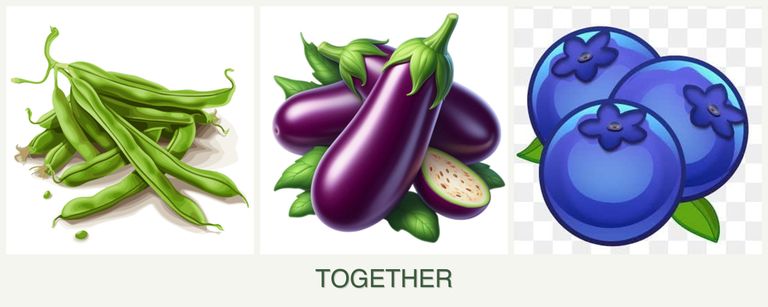 Can you plant beans, eggplant and blueberries together?