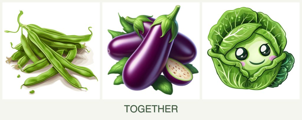 Can you plant beans, eggplant and cabbage together?