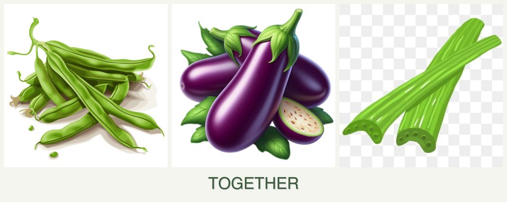 Can you plant beans, eggplant and celery together?