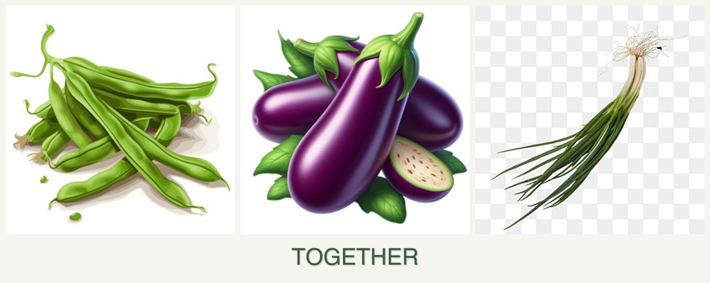 Can you plant beans, eggplant and chives together?