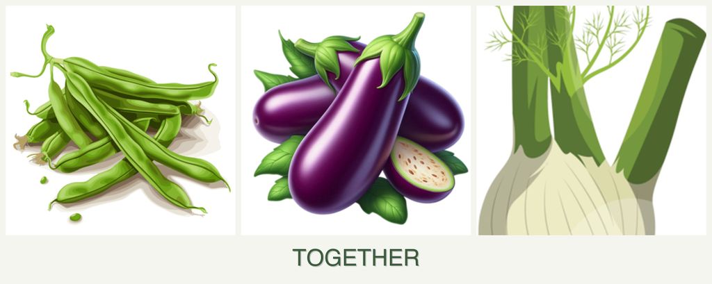 Can you plant beans, eggplant and fennel together?