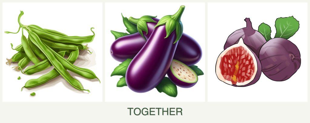 Can you plant beans, eggplant and figs together?