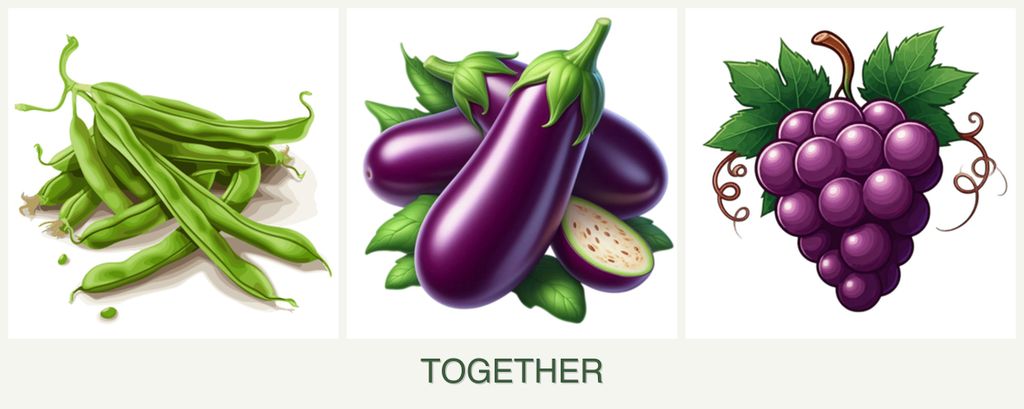 Can you plant beans, eggplant and grapes together?