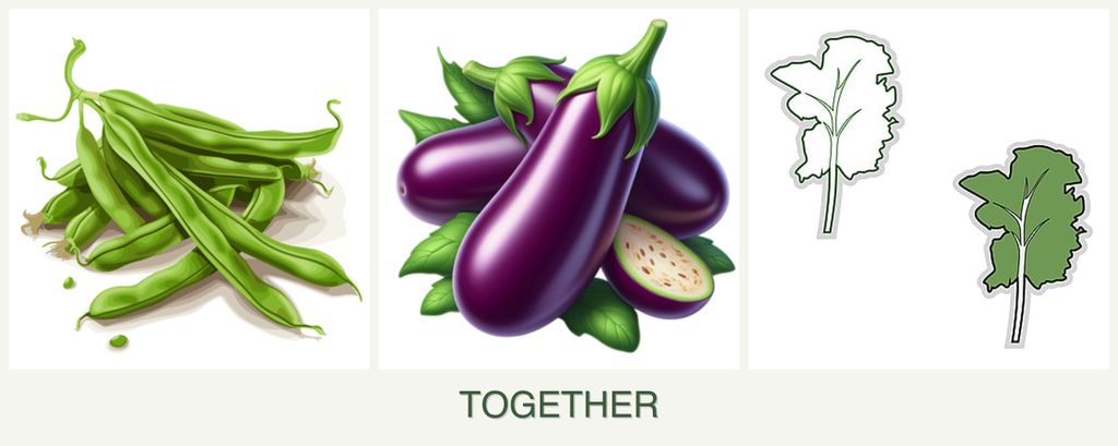 Can you plant beans, eggplant and kale together?