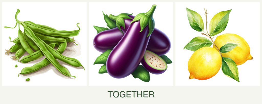 Can you plant beans, eggplant and lemons together?
