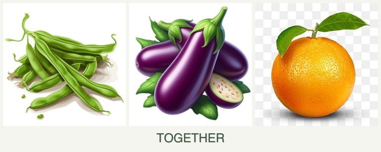 Can you plant beans, eggplant and oranges together?