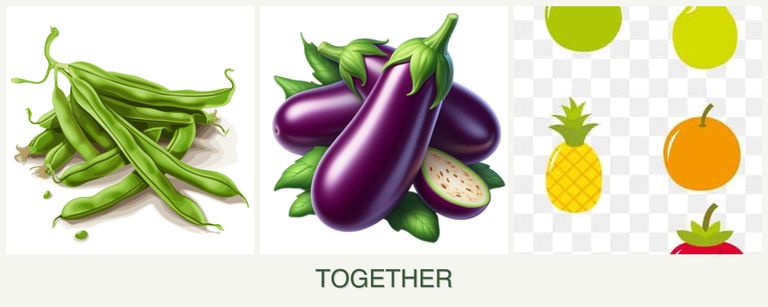 Can you plant beans, eggplant and pears together?
