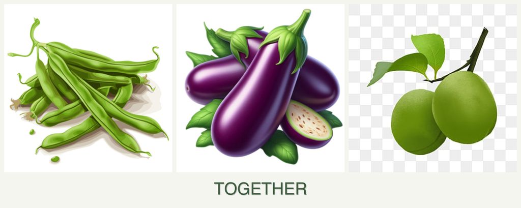 Can you plant beans, eggplant and plums together?