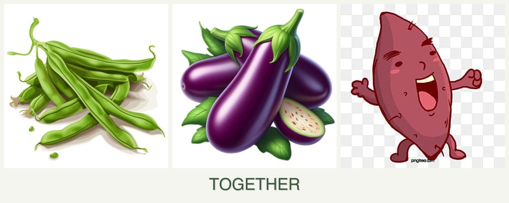 Can you plant beans, eggplant and sweet potatoes together?