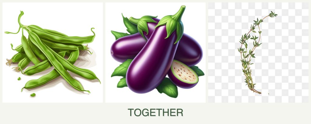 Can you plant beans, eggplant and thyme together?