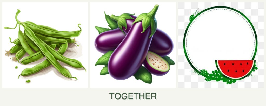 Can you plant beans, eggplant and watermelons together?