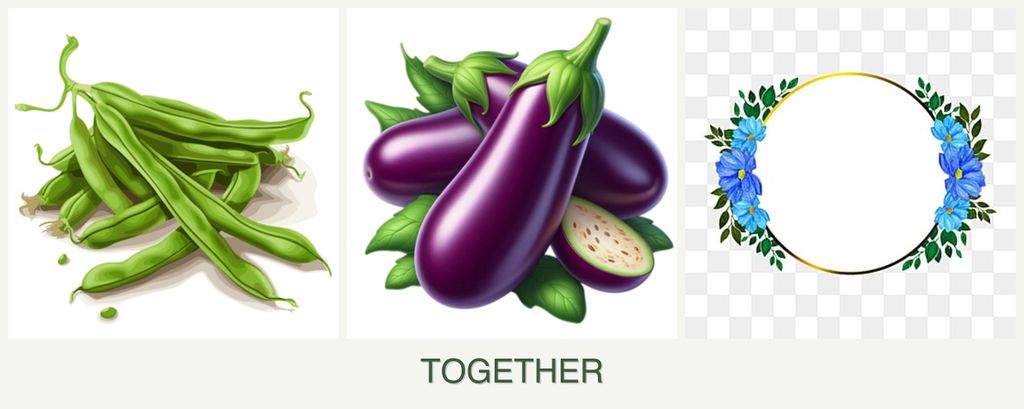 Can you plant beans, eggplant and zinnias together?