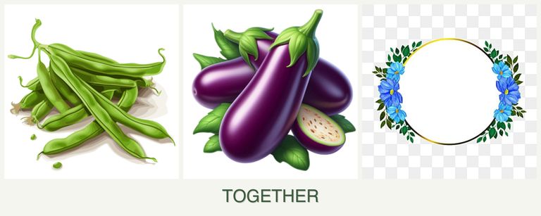 Can you plant beans, eggplant and zinnias together?