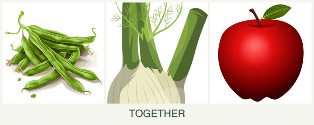 Can you plant beans, fennel and apples together?