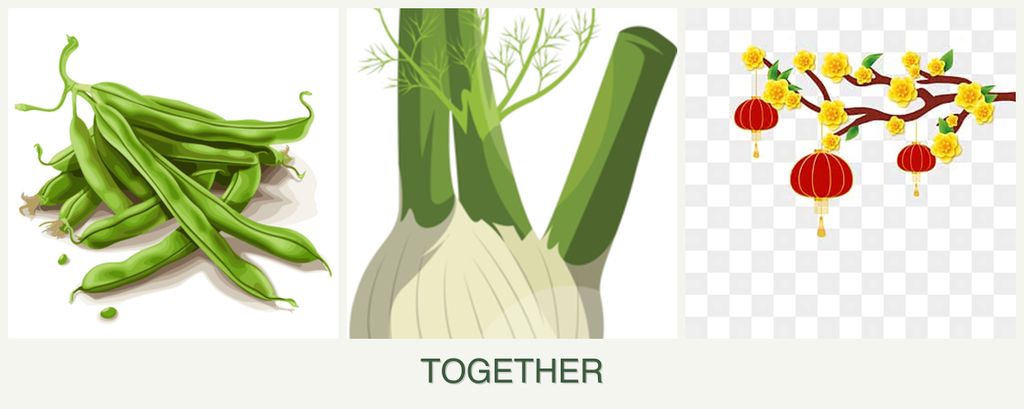 Can you plant beans, fennel and apricots together?