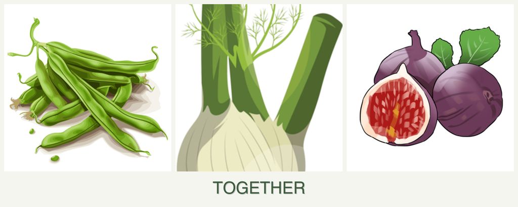 Can you plant beans, fennel and figs together?